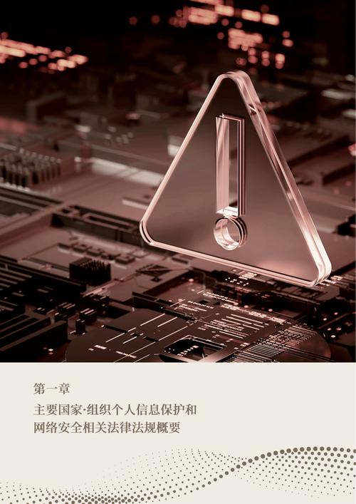 31页|2025中国个人信息保护和网络安全相关法律法规的趋势与应对报告